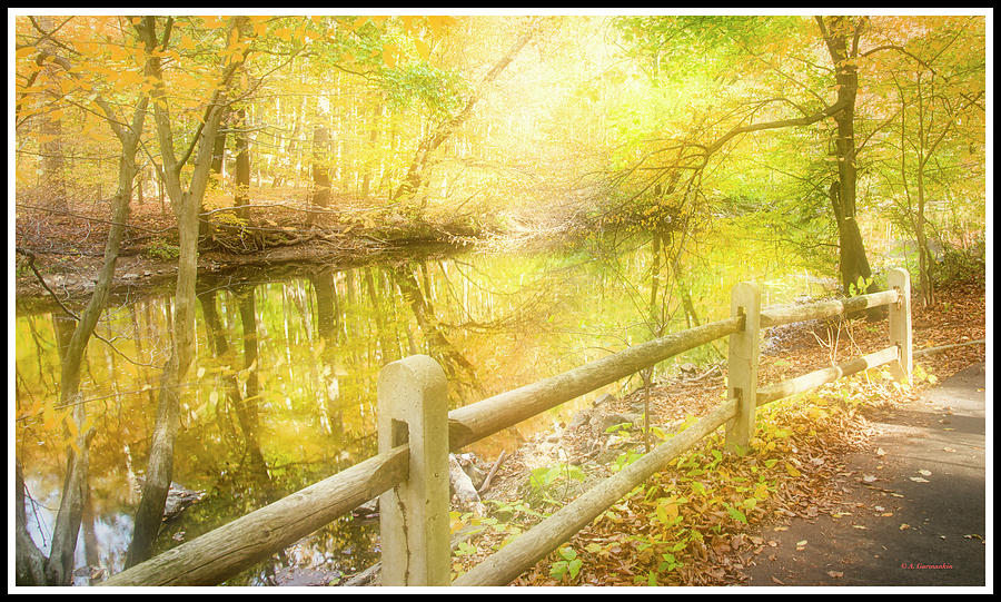 Woodland Path in Autumn #4 Photograph by A Macarthur Gurmankin