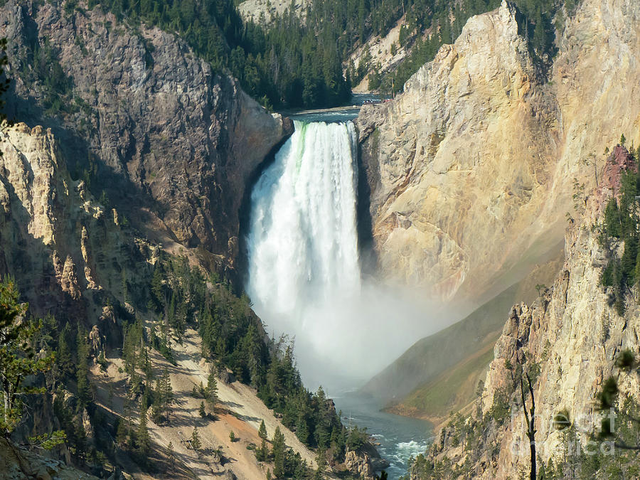 Yellowstone Lower Falls #4 Photograph by Rod Jones