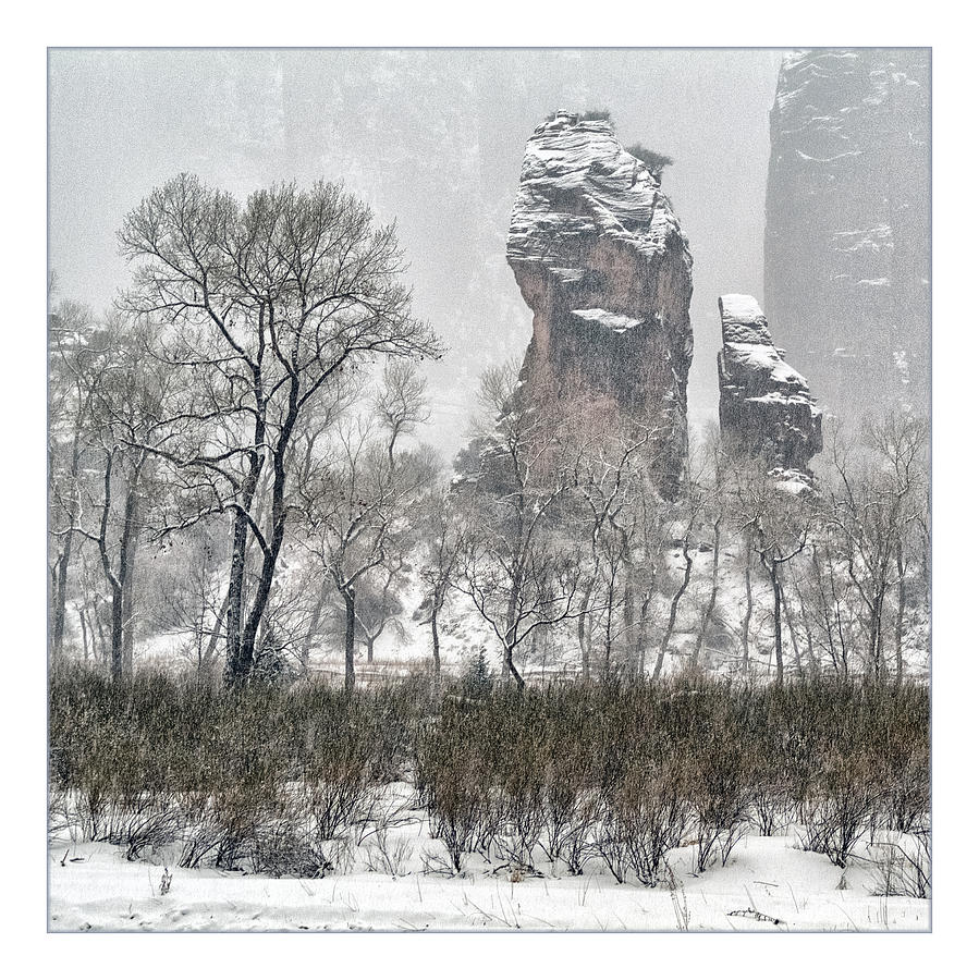 Zion Snowstorm #4 Photograph by Robert Fawcett