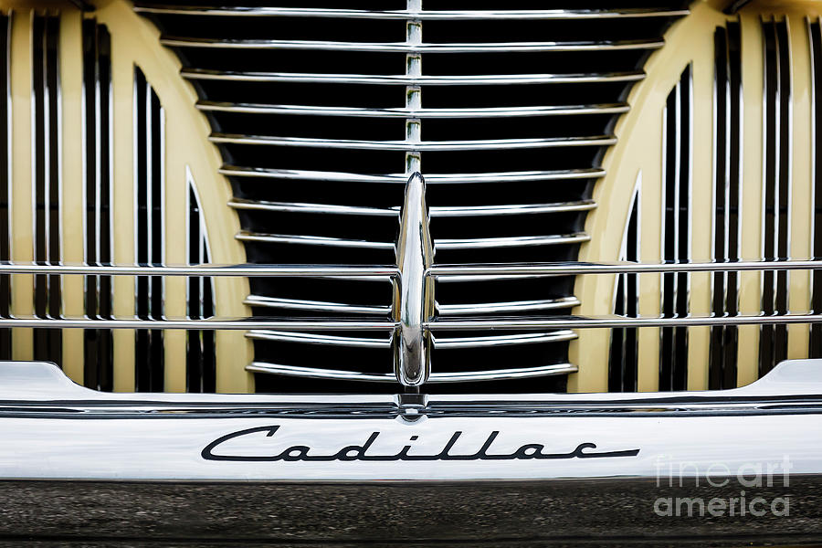 40 Cadi #40 Photograph by Dennis Hedberg
