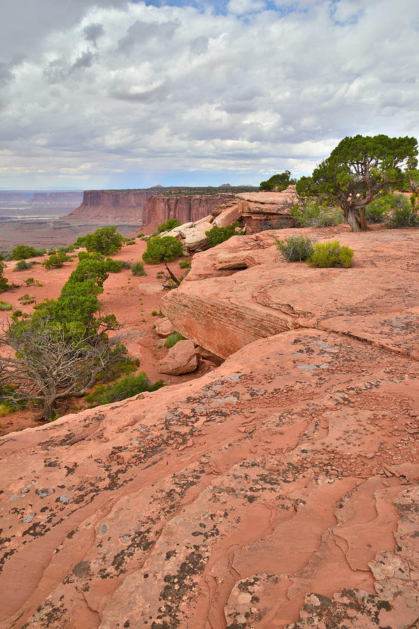 Canyonlands #37 Photograph by Ray Mathis