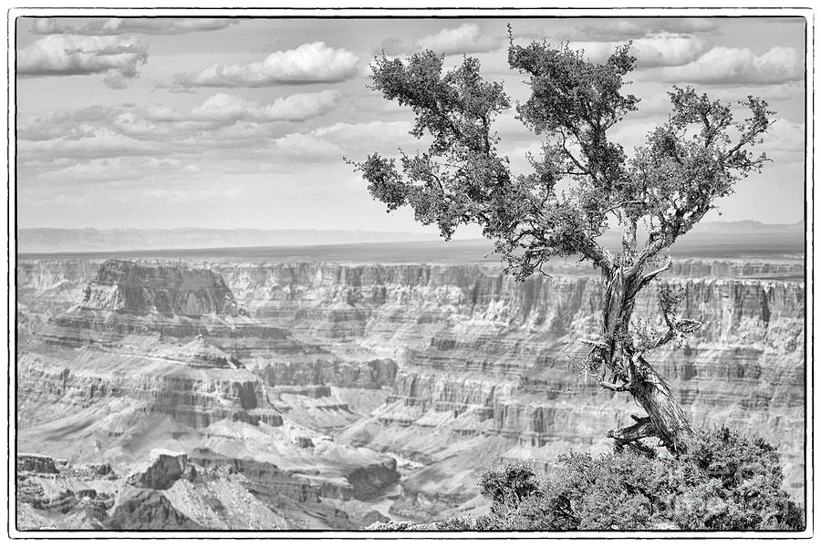 Road Photograph - Grand Canyon by Toula Mavridou-Messer Road Photograph - Grand Canyon by Toula Mavridou-Messer