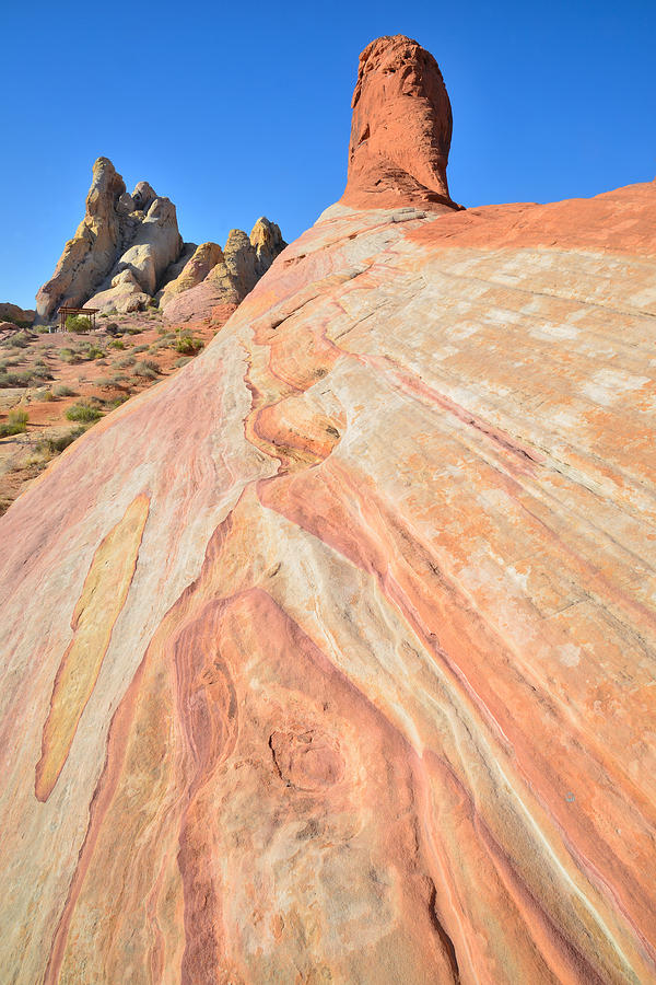 Valley of Fire #426 Photograph by Ray Mathis