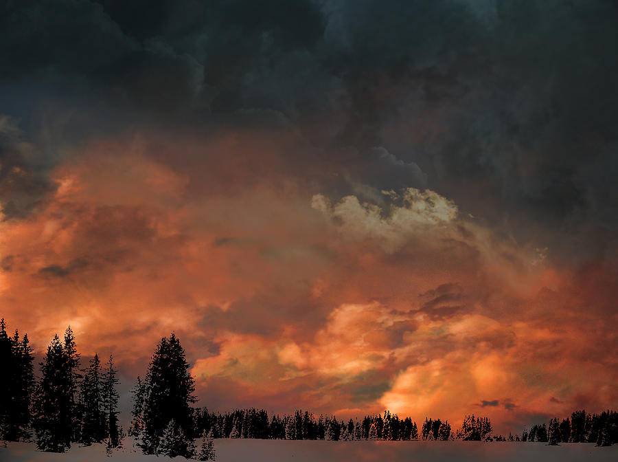 4017 Photograph by Peter Holme III