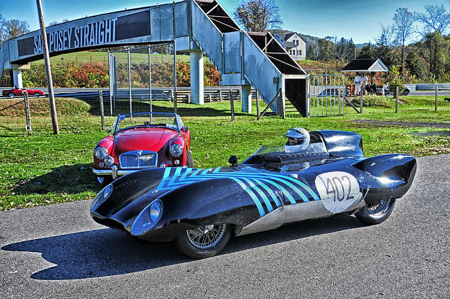 402 a Very Old Lotus Photograph by Mike Martin