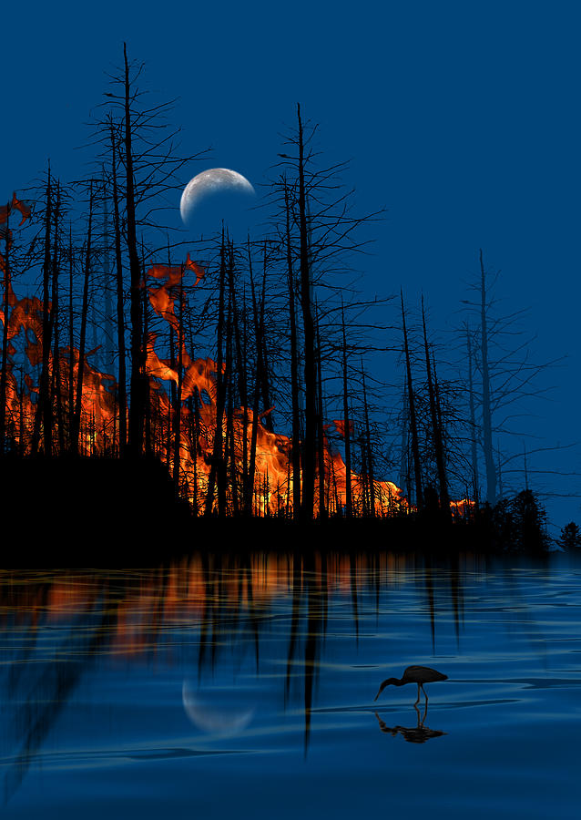 4040 Photograph by Peter Holme III