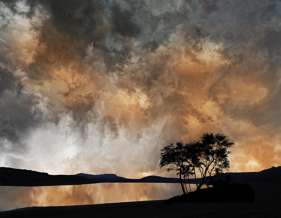 4056 Photograph by Peter Holme III