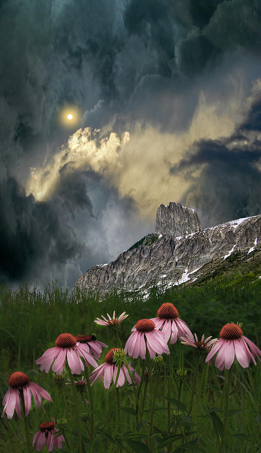4085 Photograph by Peter Holme III