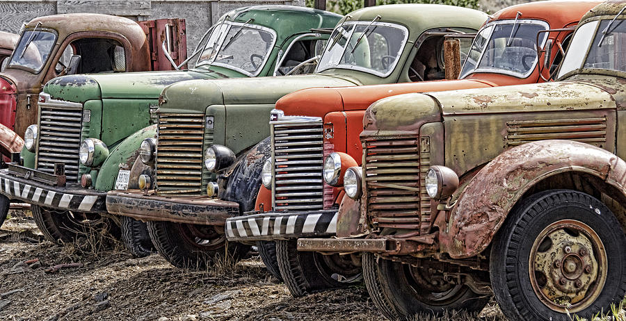 40s International H D Trucks Photograph by Wes and Dotty Weber
