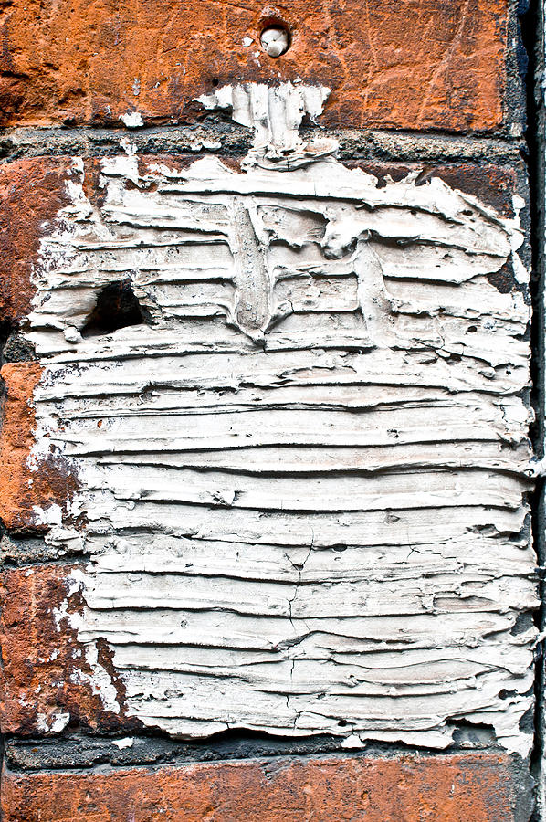 Brick wall #41 Photograph by Tom Gowanlock