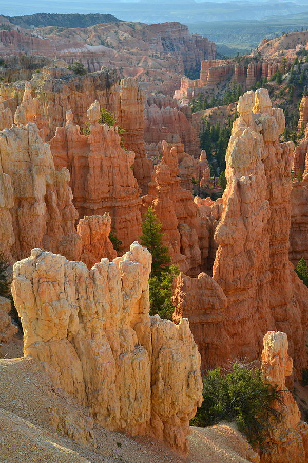 Fairyland Canyon #47 Photograph by Ray Mathis