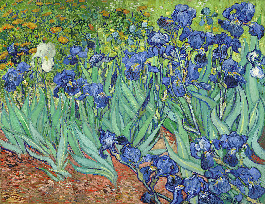 Irises #45 Painting by Vincent van Gogh