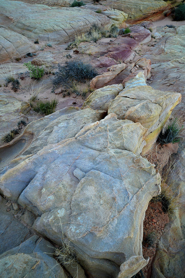 Multicolored Sandstone in Valley of Fire #41 Photograph by Ray Mathis
