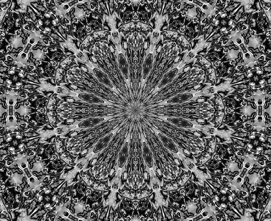 Snowflake #41 Digital Art by Belinda Cox