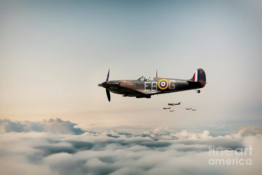 41 Squadron Digital Art by Airpower Art