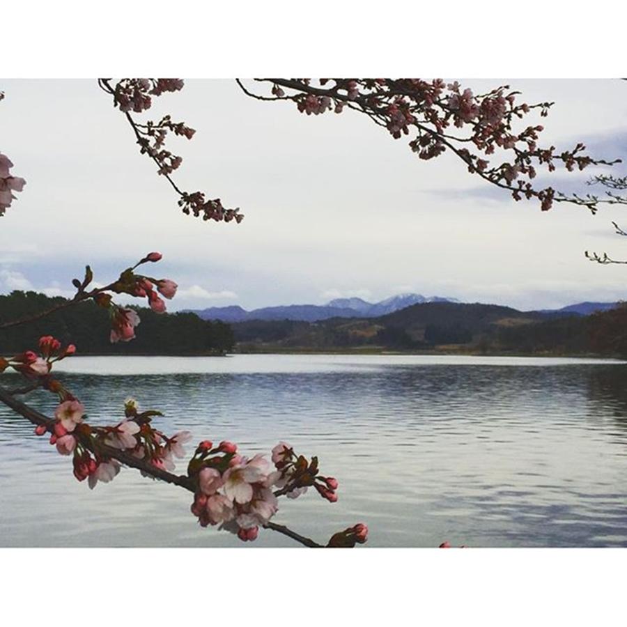 Mountain Photograph - 4.18 #spring .
.
.
.
.
#lake #418 by Megumi Sugano