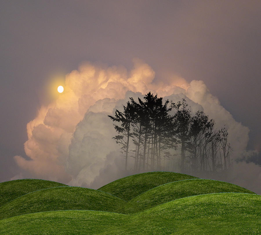4192 Photograph by Peter Holme III