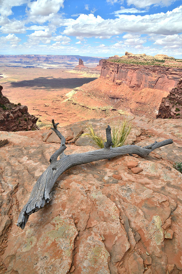 Canyonlands #31 Photograph by Ray Mathis
