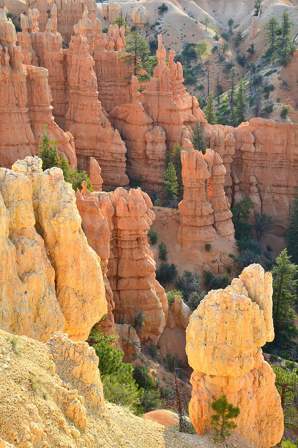 Fairyland Canyon #2 Photograph by Ray Mathis