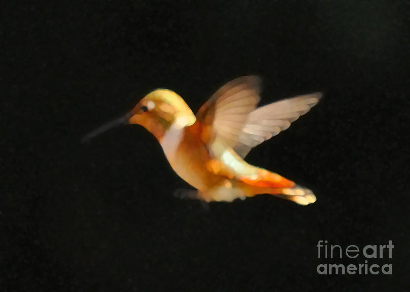 Hummingbird #42 Photograph by Marc Bittan