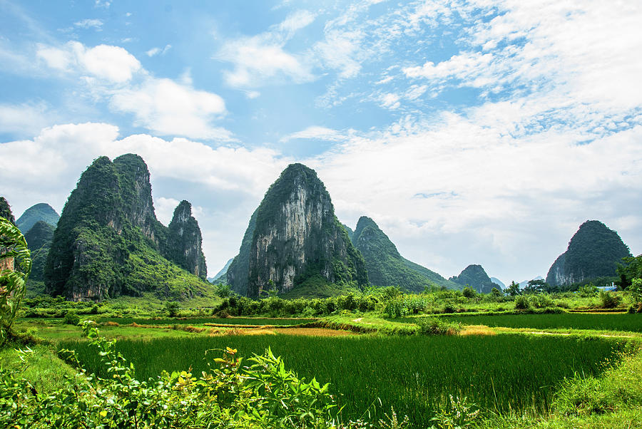 Karst mountains and  rural scenery #42 Photograph by Carl Ning