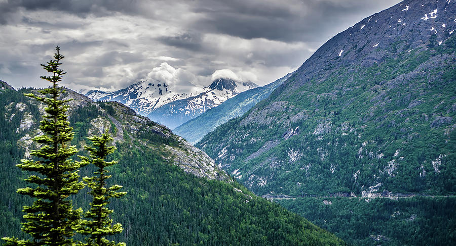 White Pass Mountains In British Columbia #42 Photograph by Alex Grichenko