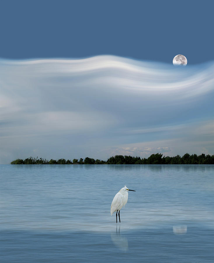 4218 Photograph by Peter Holme III