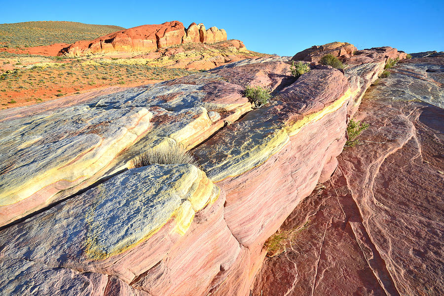 Valley of Fire #405 Photograph by Ray Mathis