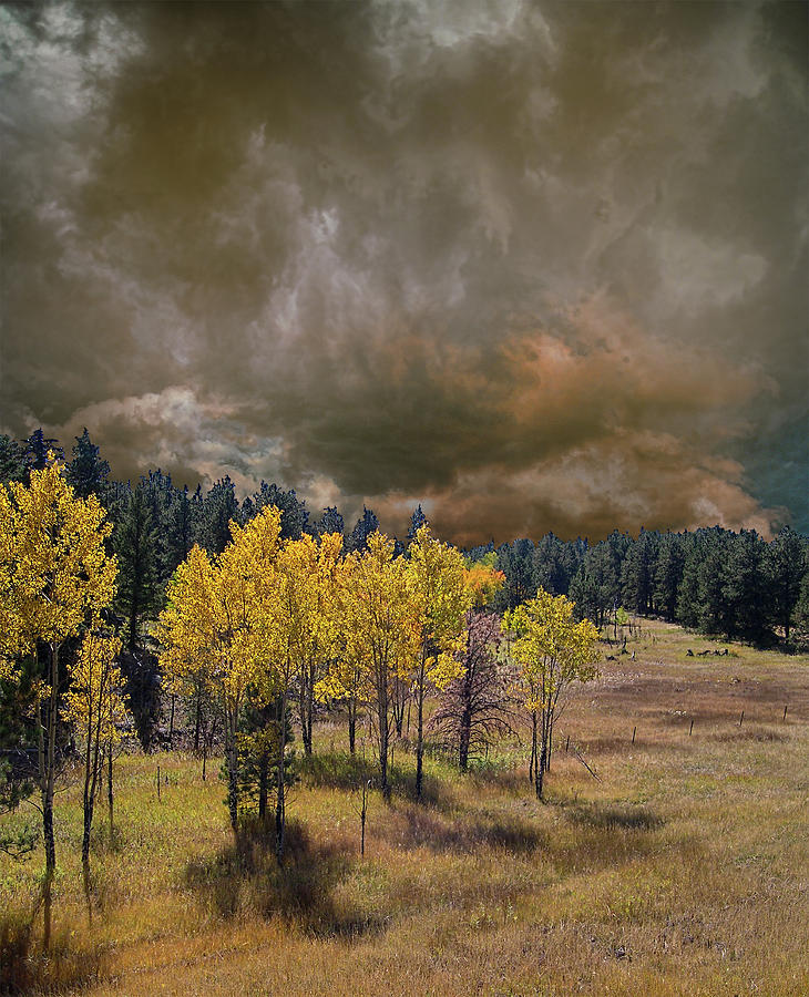 4228 Photograph by Peter Holme III