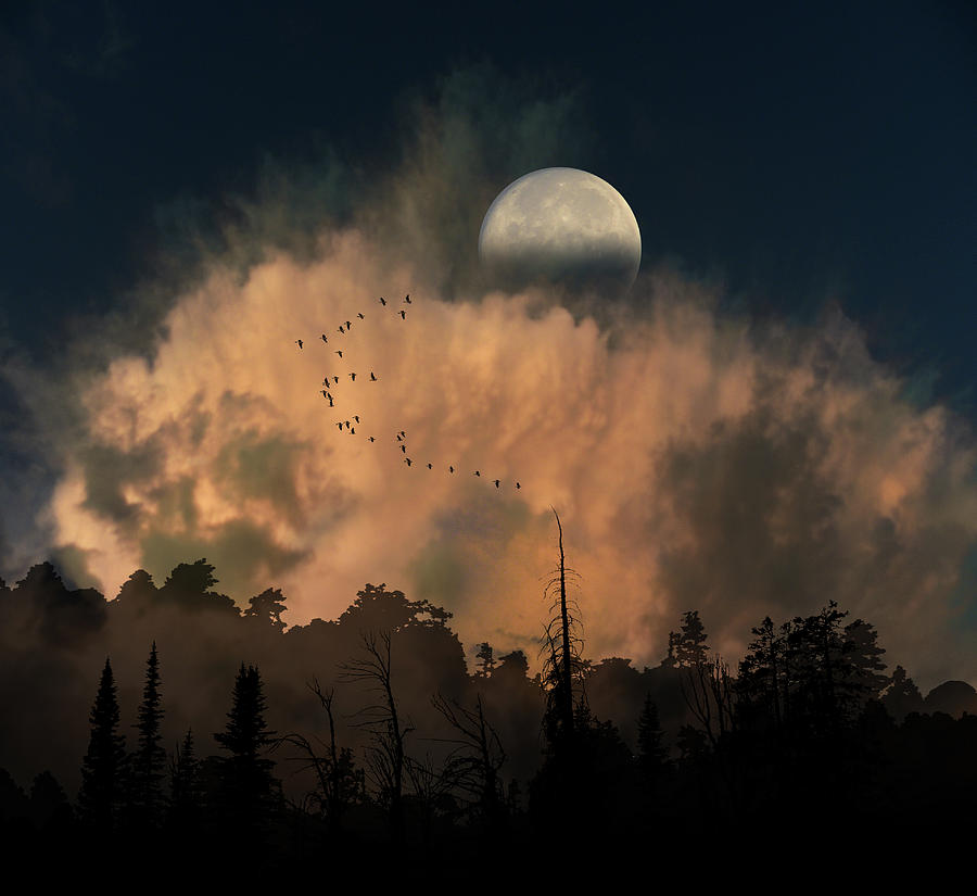 4234 Photograph by Peter Holme III