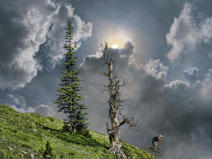 4268 Photograph by Peter Holme III