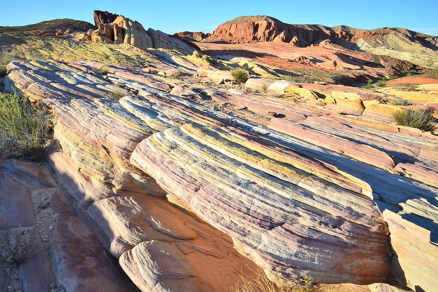 Valley of Fire #384 Photograph by Ray Mathis