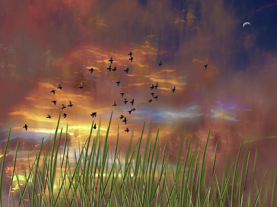 4289 Photograph by Peter Holme III