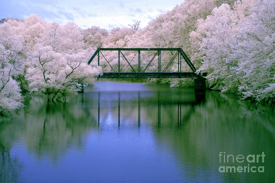 Infrared #43 Photograph by FineArtRoyal Joshua Mimbs