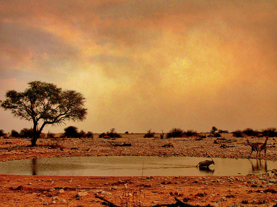 Namibia #43 Photograph by Paul James Bannerman