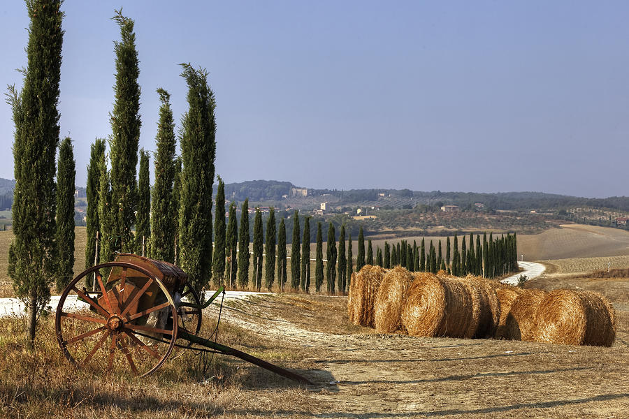 Tuscany #43 Photograph by Joana Kruse