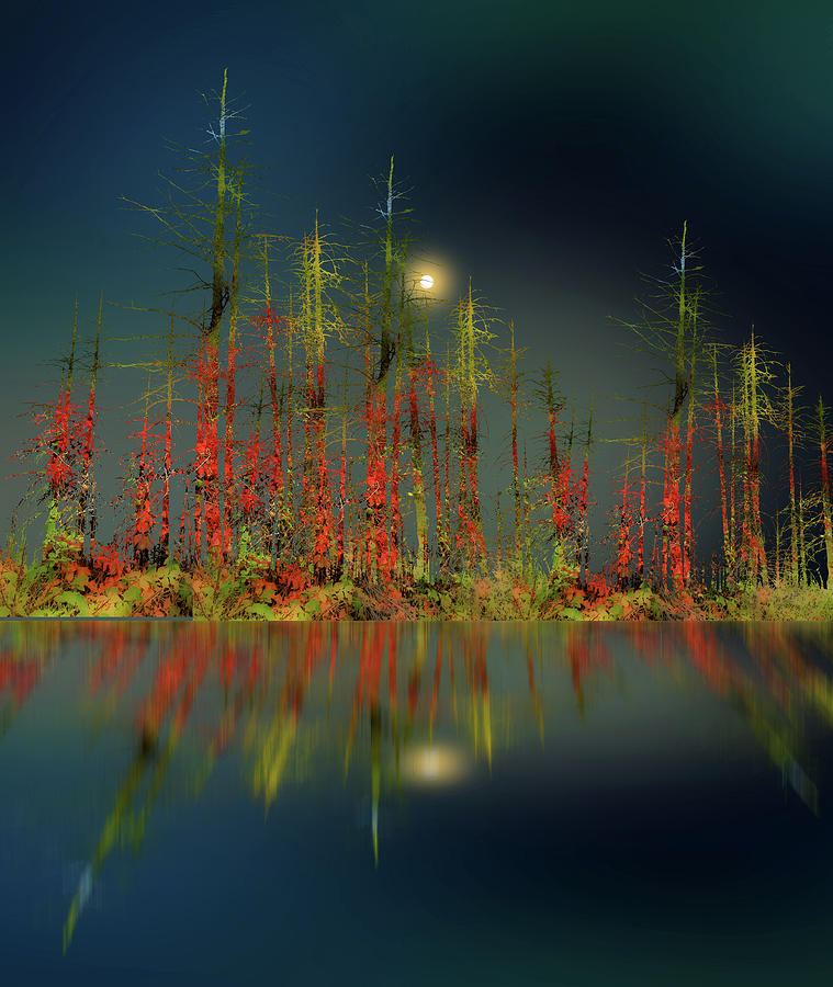 4307 Photograph by Peter Holme III