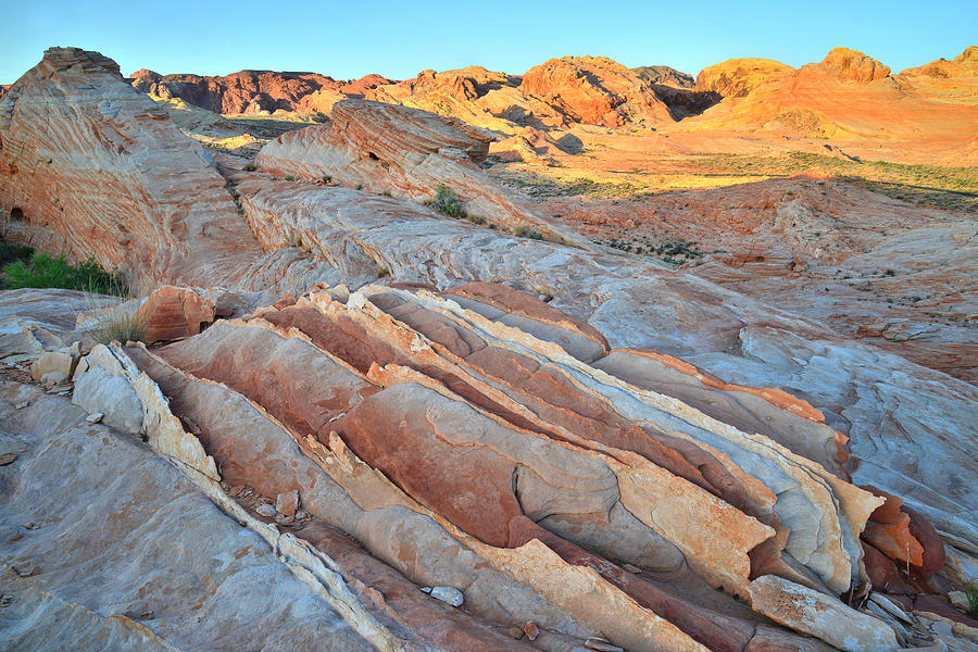 Valley of Fire #572 Photograph by Ray Mathis