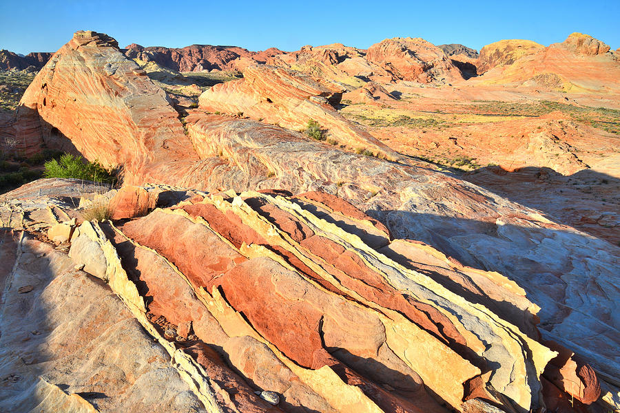 Valley of Fire #465 Photograph by Ray Mathis