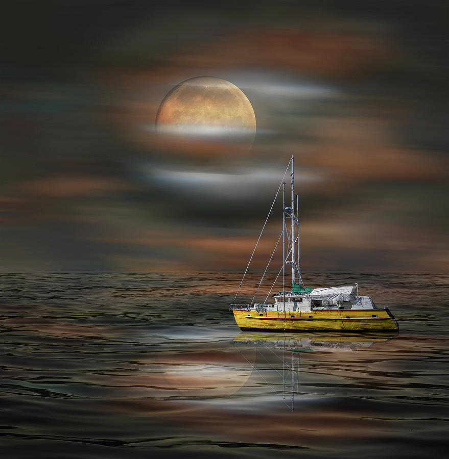 4327 Photograph by Peter Holme III