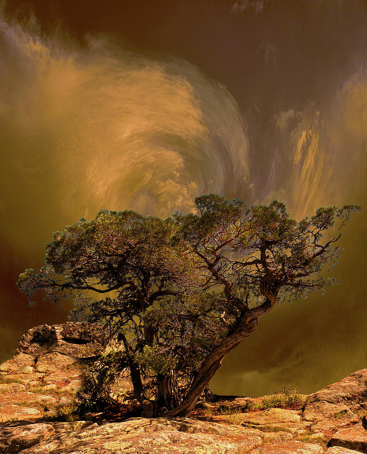 4335 Photograph by Peter Holme III