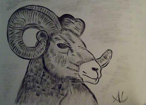 Ram Painting - B-Ram by Al Borrego Ram Painting - B-Ram by Al Borrego