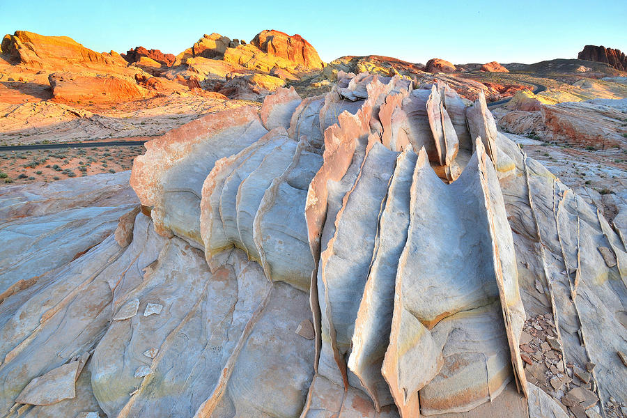 Valley of Fire #447 Photograph by Ray Mathis