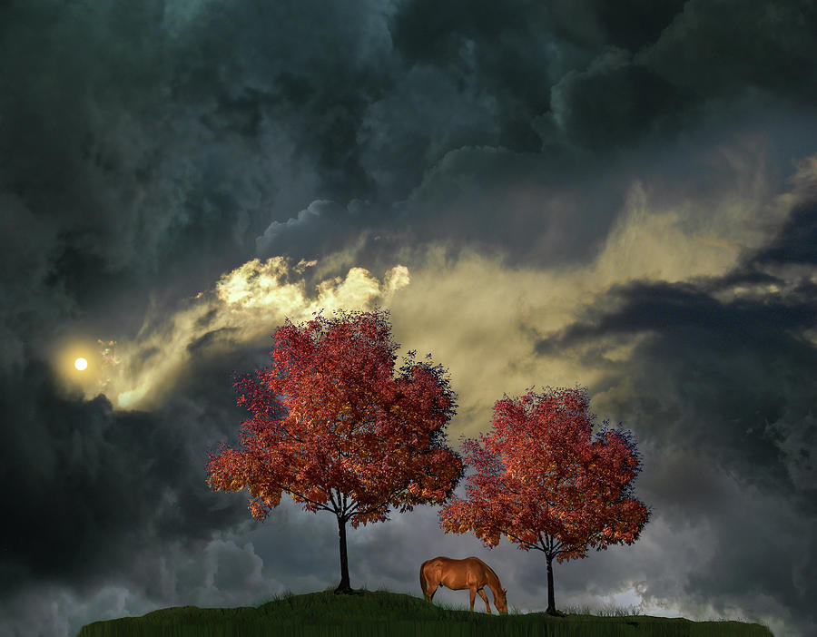 4384 Photograph by Peter Holme III