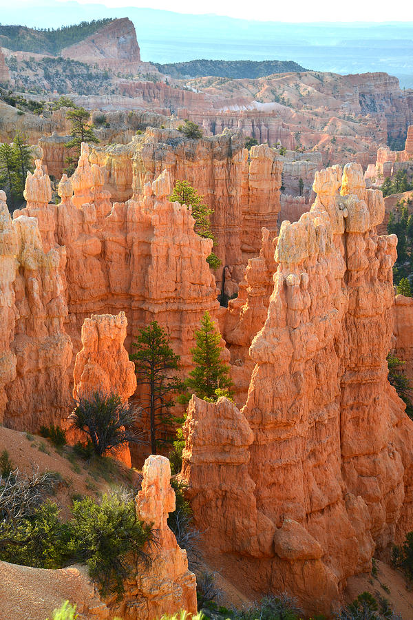 Fairyland Canyon #36 Photograph by Ray Mathis