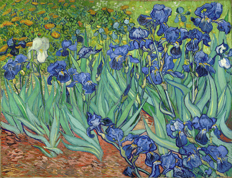 Irises Painting - Irises by Vincent van Gogh