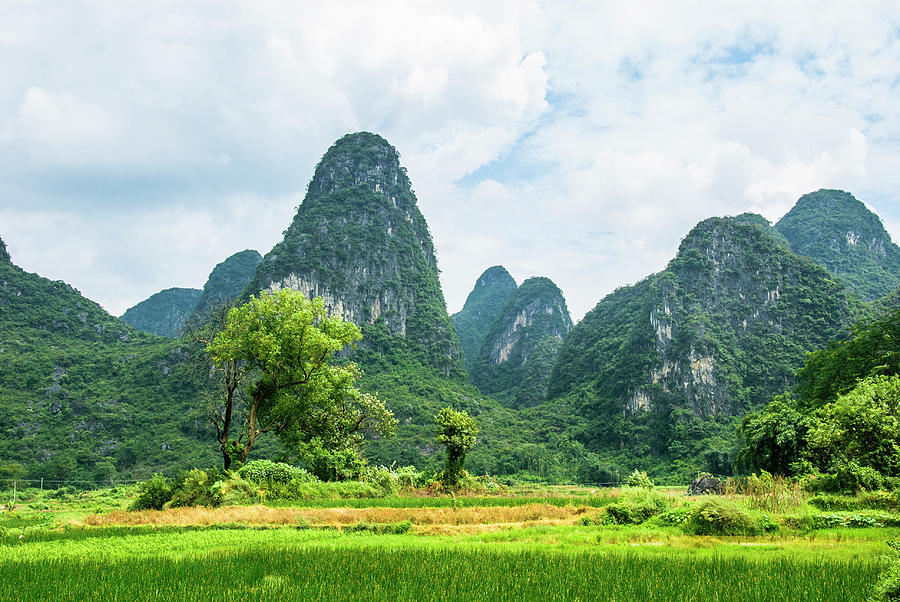 Karst mountains and  rural scenery #44 Photograph by Carl Ning