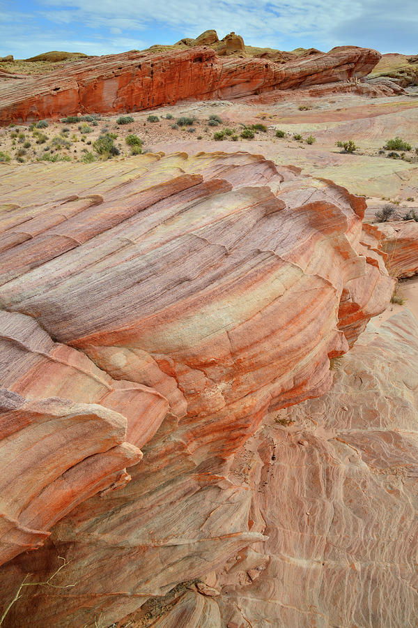 Multicolored Sandstone in Valley of Fire #44 Photograph by Ray Mathis