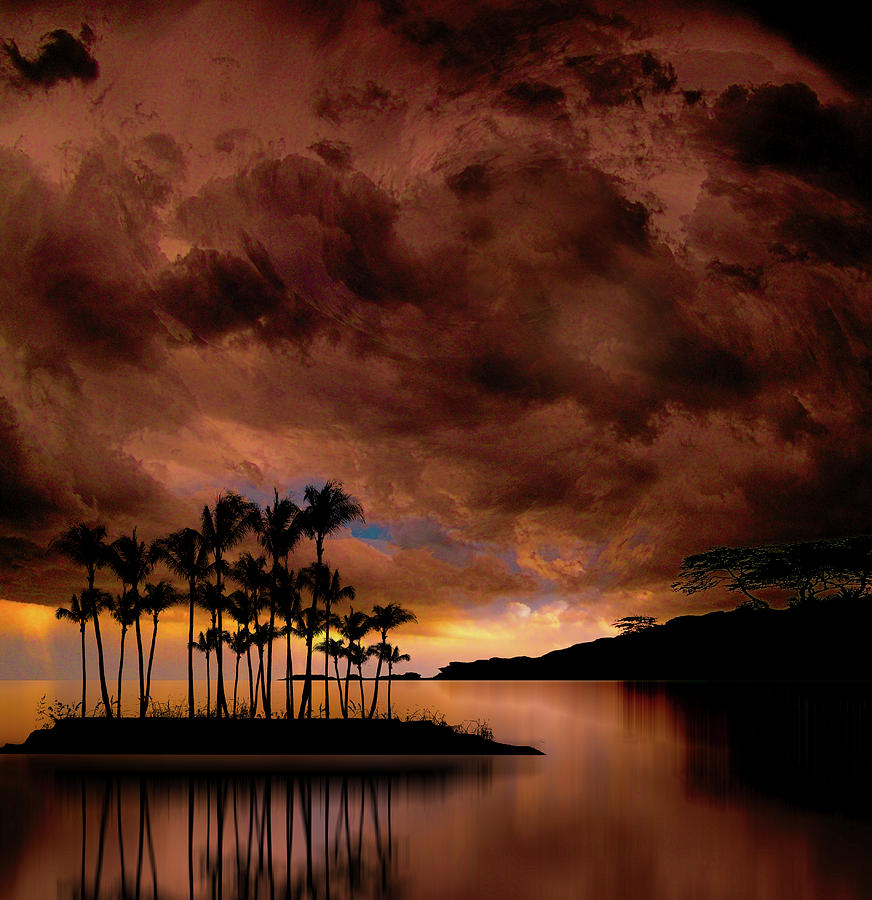 4401 Photograph by Peter Holme III