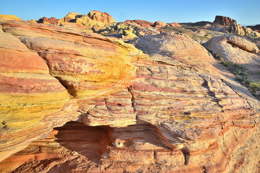 Valley of Fire #441 Photograph by Ray Mathis